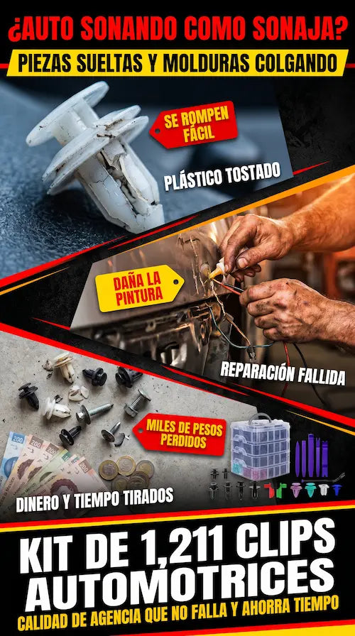 AutoBox Repuestos y Herramientas para Auto